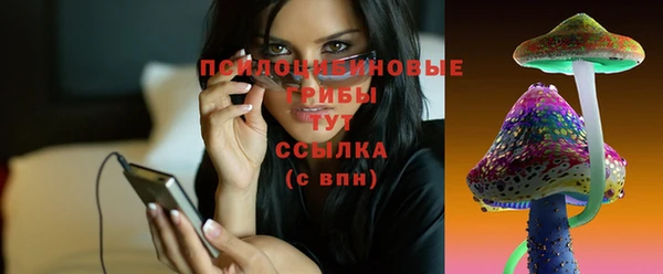 mix Каменка