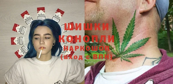 первитин Каменногорск