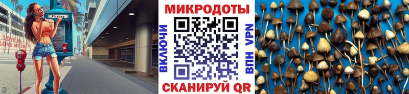 Купить где  Ворсма  Псилоцибиновые грибы Psilocybine cubensis 